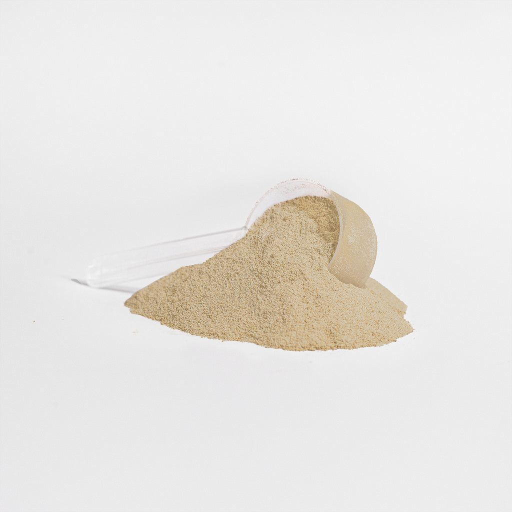 Plantora Plant Protein Powder | 29.77 oz